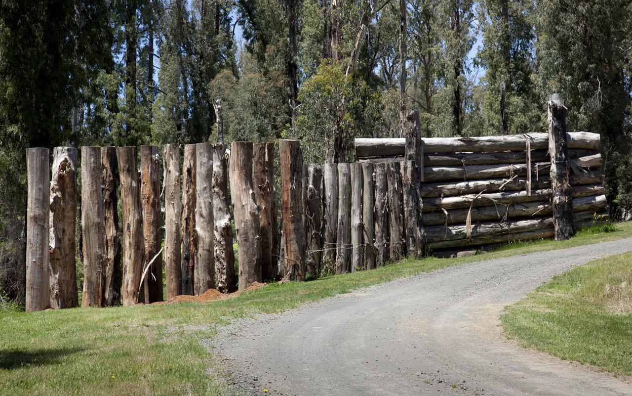 Saladin Lodge Narbethong Экстерьер фото