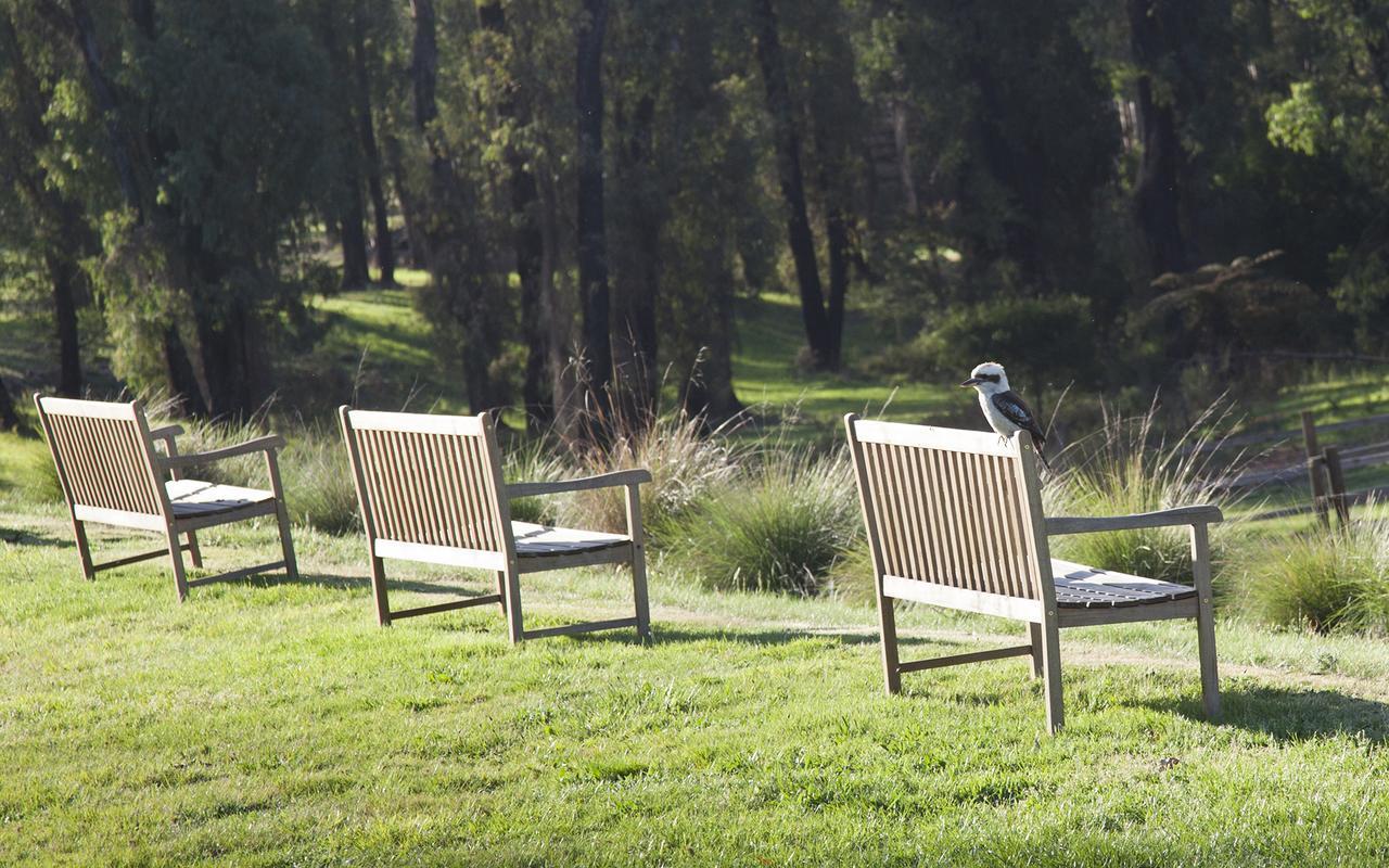 Saladin Lodge Narbethong Экстерьер фото
