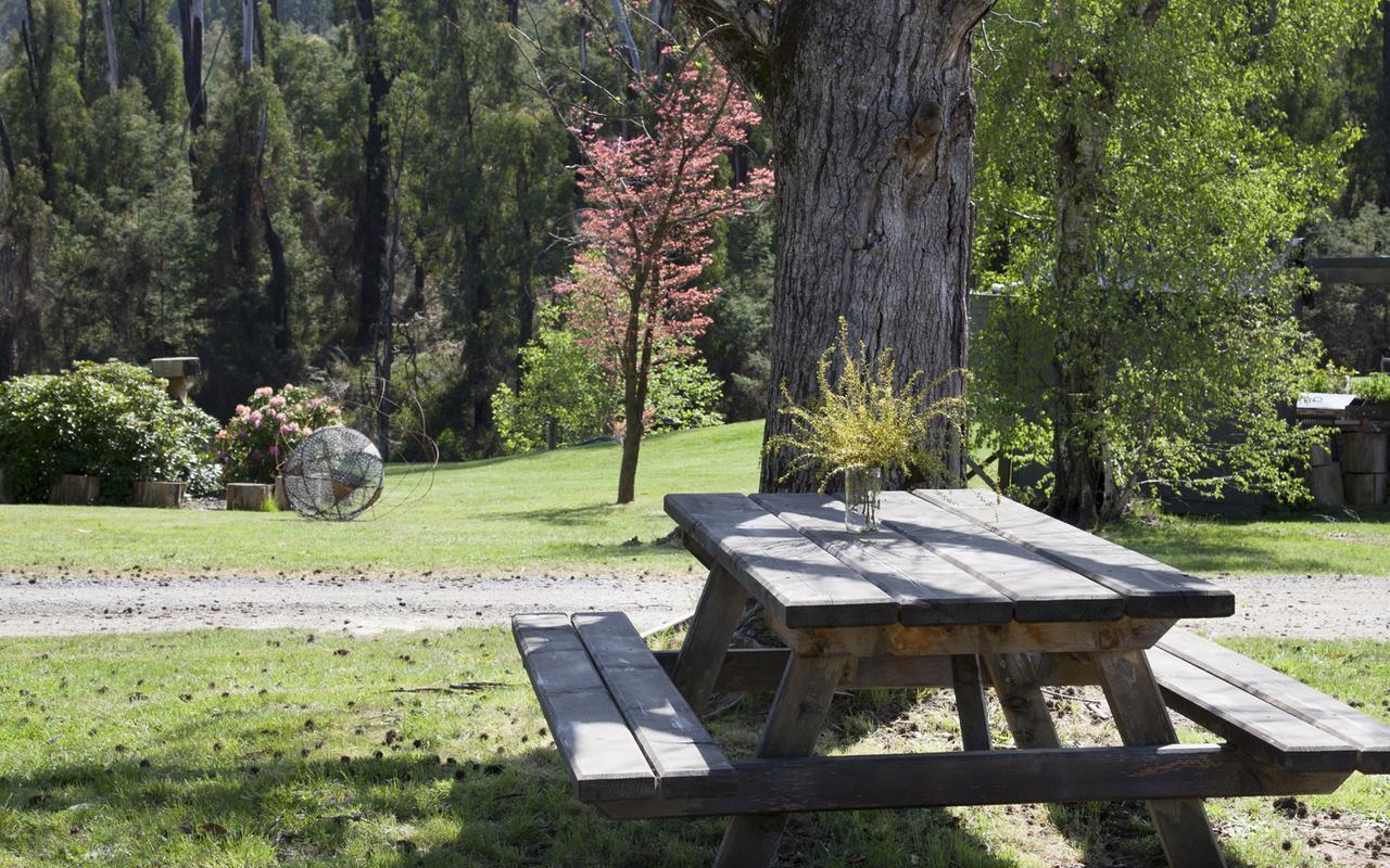Saladin Lodge Narbethong Экстерьер фото